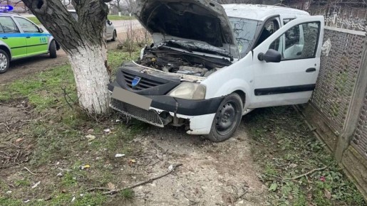 В селе Карагаш водитель «Дачии» не справился с управлением, выехал с дороги и врезался в дерево, после чего машину отбросило в забор
