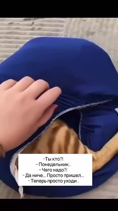 Утро понедельника