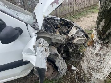 В Карагаше водитель врезался в дерево и забор