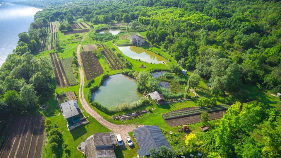 ������� ������ �������� ������ �������� ��������� ������� 2025 ����