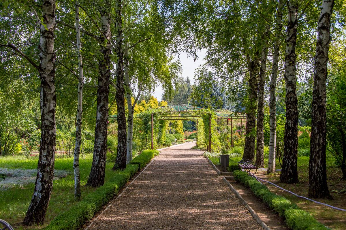 Теплицу и оранжерею построят в столичном дендропарке