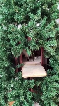 Компания Meowpy сделала ёлку для котов