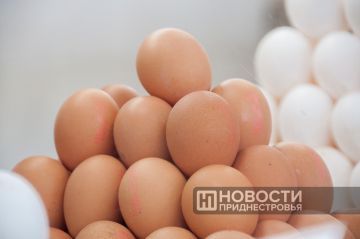 На первом фермерском форуме подняли острую тему нехватки куриных яиц