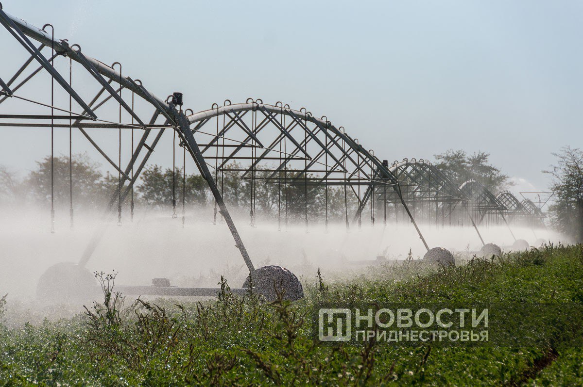 Первый фермерский форум проходит в Григориополе Первый фермерский форум проходит в Григориополе