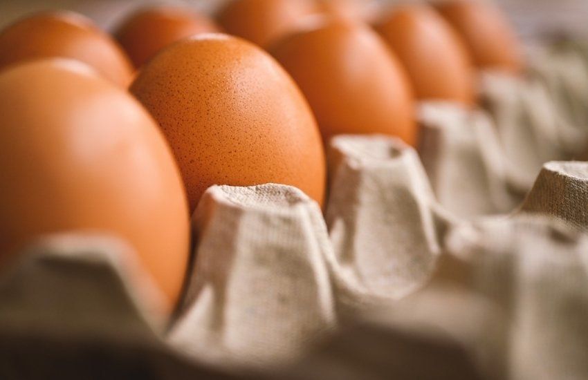 В Приднестровье собственное производство куриных яиц покрывает лишь 44% внутреннего спроса — проблему дефицита и роста цен обсудили на первом фермерском форуме в Григориополе