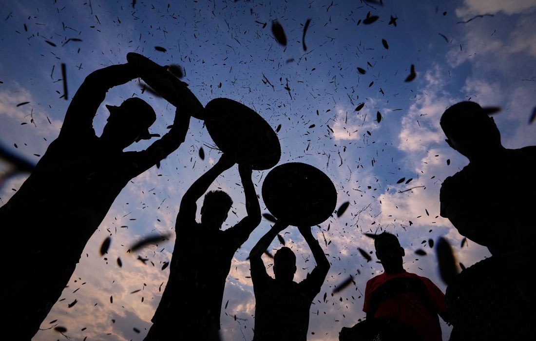 "Интерфакс" опубликовал лучшие фото недели "Интерфакс" опубликовал лучшие фото недели