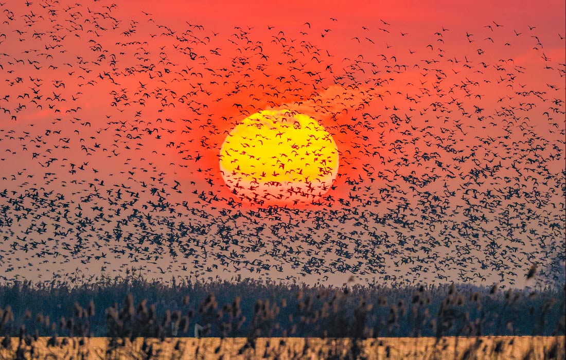 "Интерфакс" опубликовал лучшие фото недели "Интерфакс" опубликовал лучшие фото недели