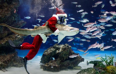 "Интерфакс" опубликовал лучшие фото недели