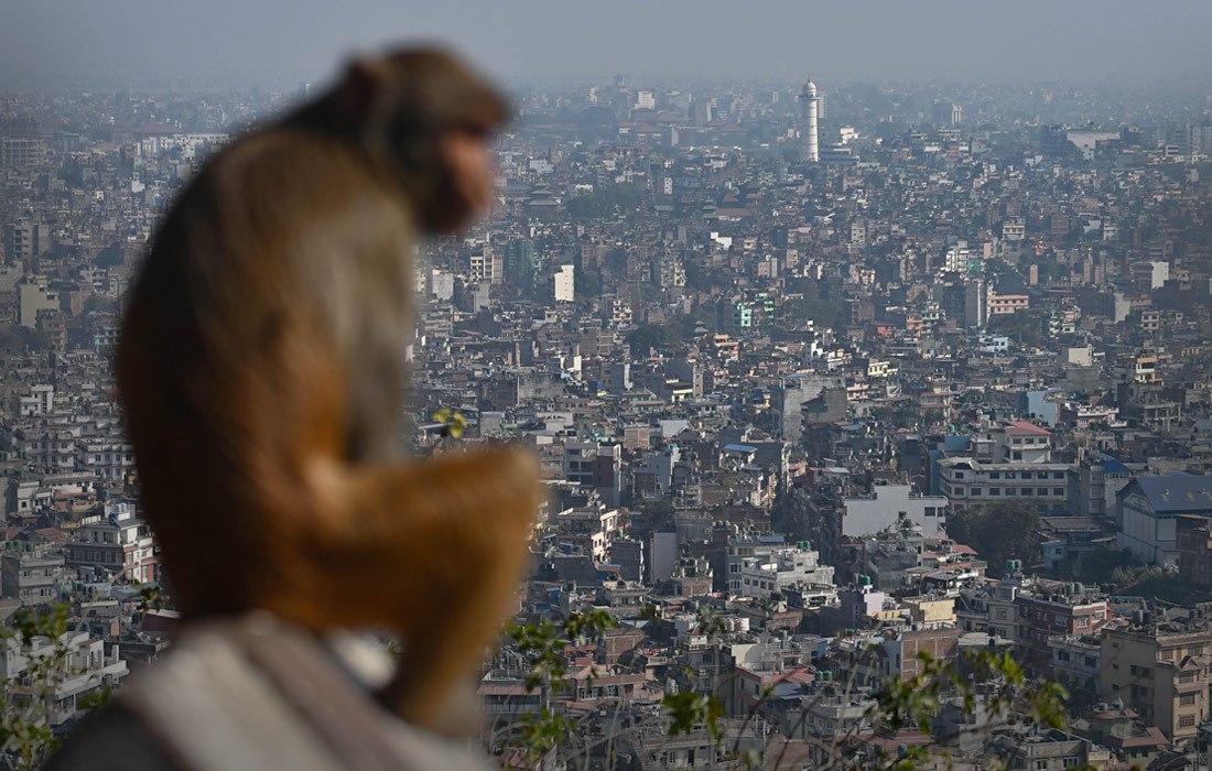 "Интерфакс" опубликовал лучшие фото недели "Интерфакс" опубликовал лучшие фото недели