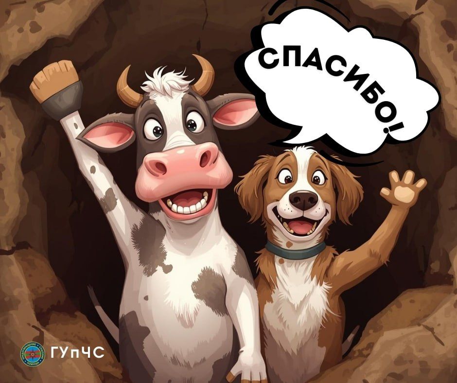 Бендерские спасатели помогли животным