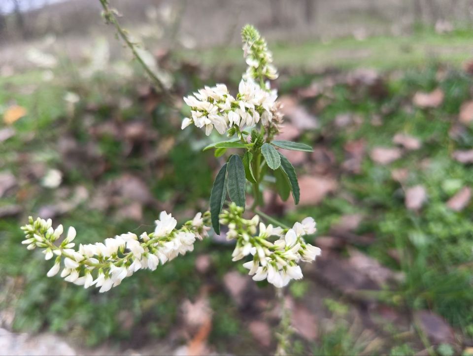 ��� ����� � ��� �������!. �������, ������� ������, ���� � �������, ������� � ������ �������� ������ � �� ���������� ������� �� ������ �����