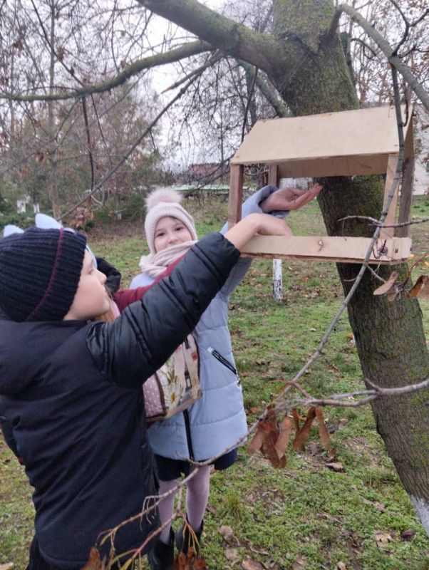 ���������� ���������� �������� �3 ����� �. �. ������������� ��������� � ����� �������� ���� �����