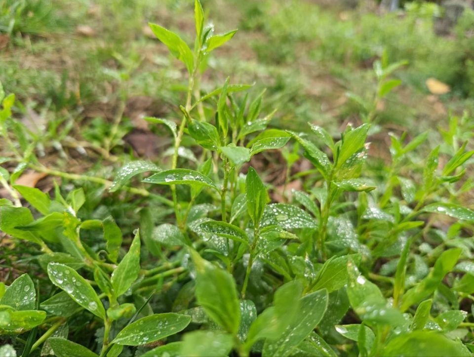 ��� ����� � ��� �������!. �������, ������� ������, ���� � �������, ������� � ������ �������� ������ � �� ���������� ������� �� ������ �����