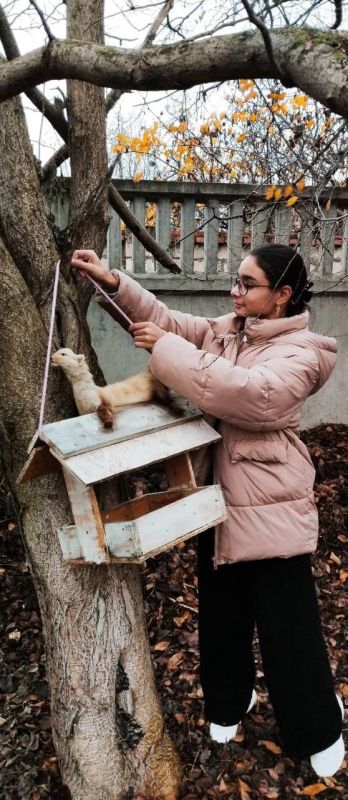 ���������� ���������� �������� �3 ����� �. �. ������������� ��������� � ����� �������� ���� �����