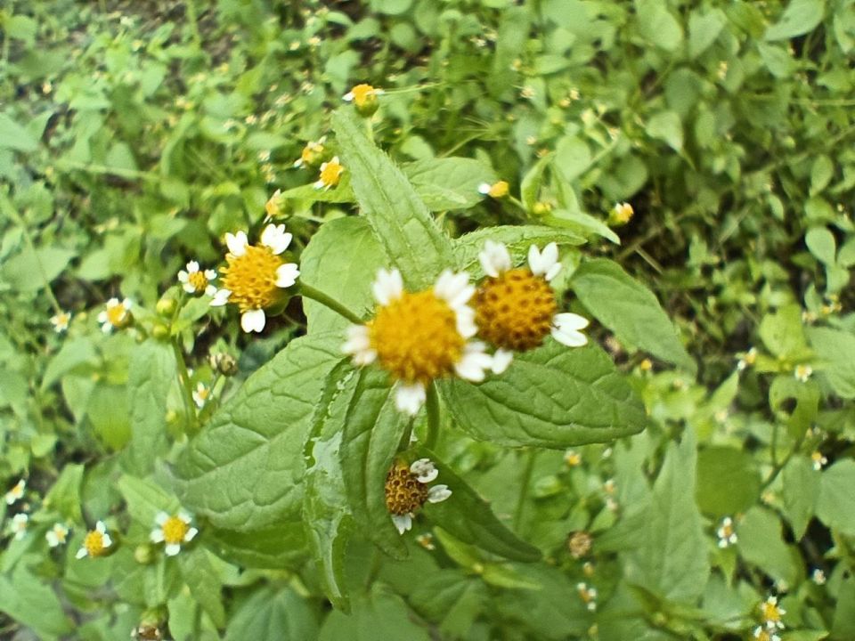 ��� ����� � ��� �������!. �������, ������� ������, ���� � �������, ������� � ������ �������� ������ � �� ���������� ������� �� ������ �����