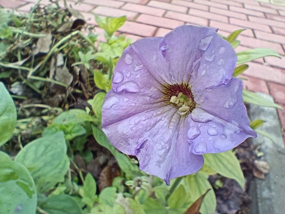 ��� ����� � ��� �������!. �������, ������� ������, ���� � �������, ������� � ������ �������� ������ � �� ���������� ������� �� ������ �����