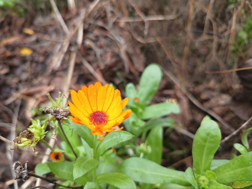 ��� ����� � ��� �������!. �������, ������� ������, ���� � �������, ������� � ������ �������� ������ � �� ���������� ������� �� ������ �����