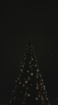 В центре Тирасполя зажгли ёлку