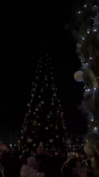 В Тирасполе зажгли главную ёлку столицы!