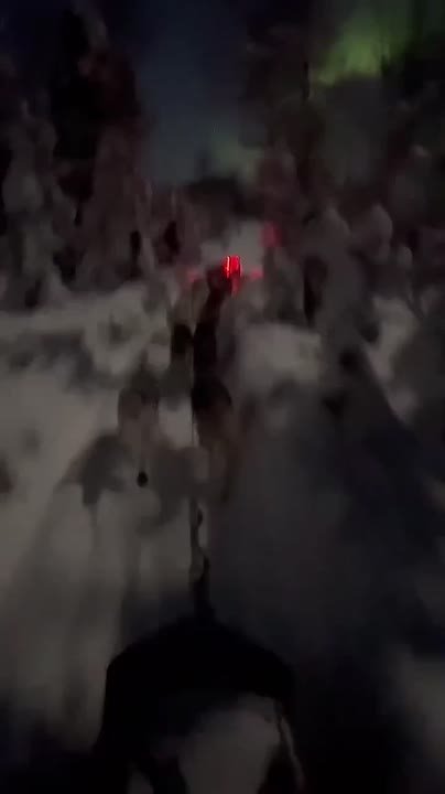 Житель Аляски снял самое красивое видео месяца — ночную поездку на собачьей упряжке под северным сиянием и полной Луной