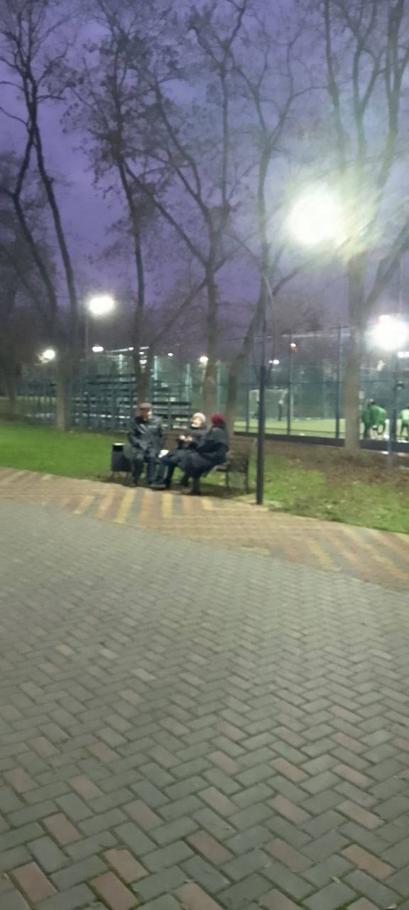 Декабрьский вечер в парке Энергетиков Декабрьский вечер в парке Энергетиков