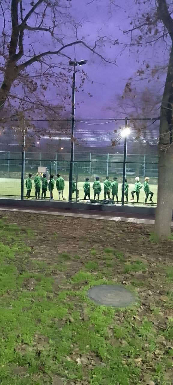 Декабрьский вечер в парке Энергетиков Декабрьский вечер в парке Энергетиков