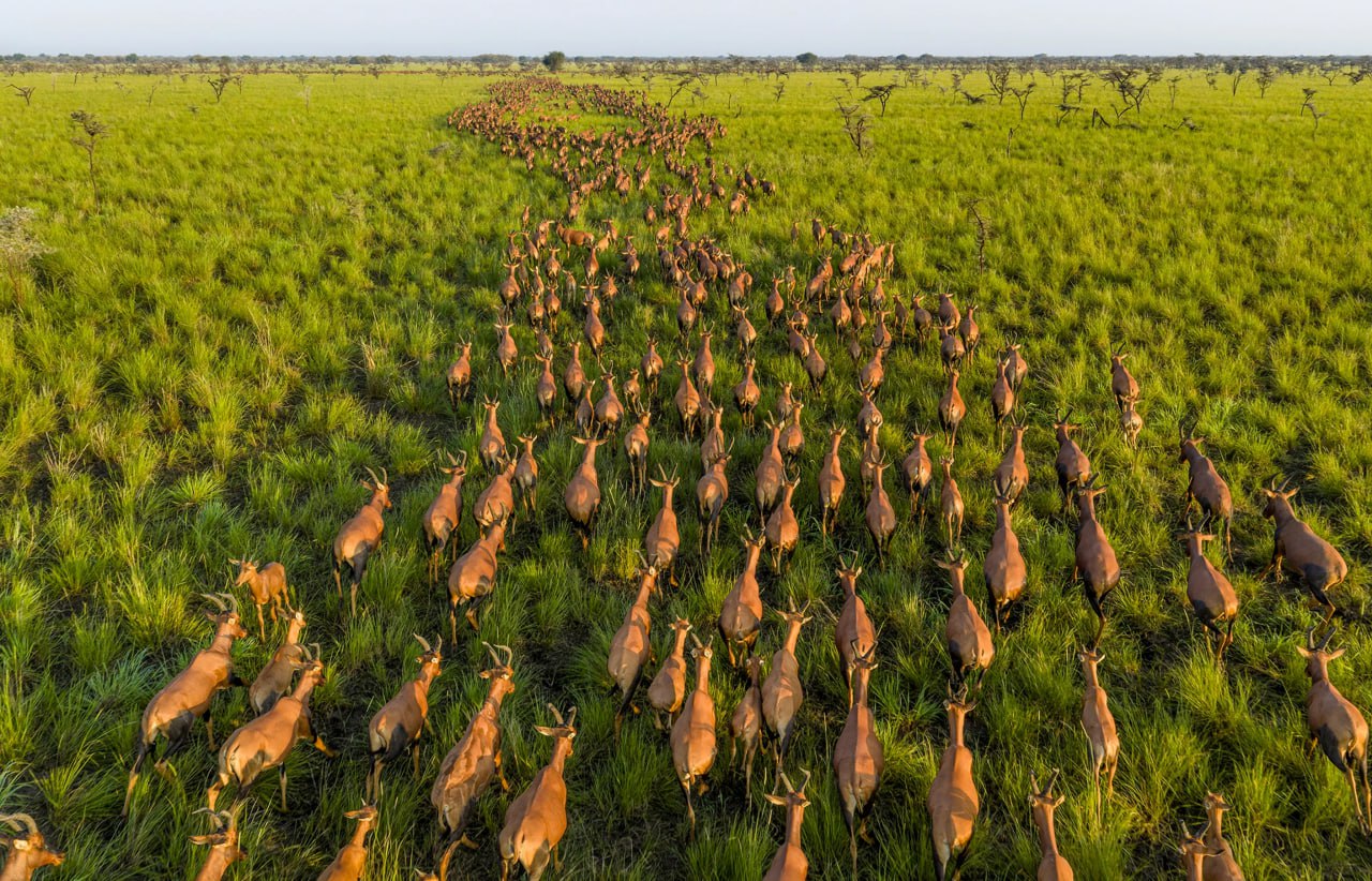 Лучшие фотографии 2025-го по версии National Geographic Лучшие фотографии 2025-го по версии National Geographic