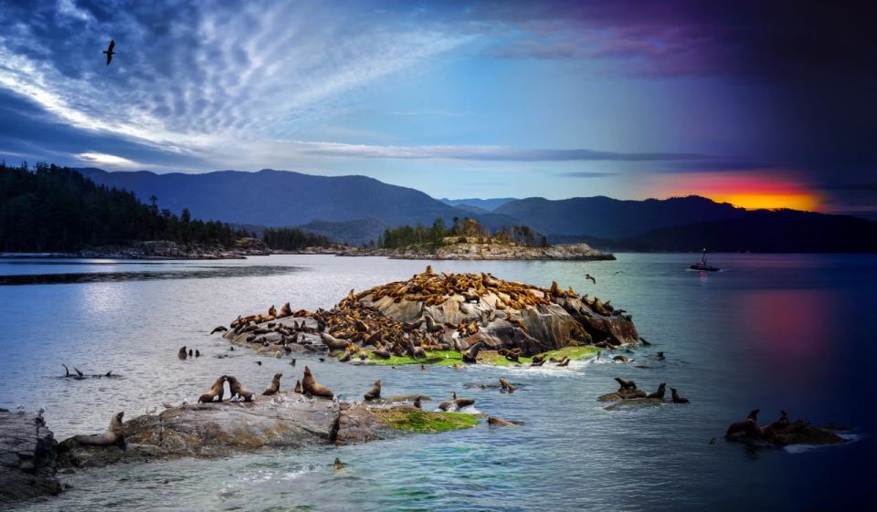 ������ ���������� 2025-�� �� ������ National Geographic