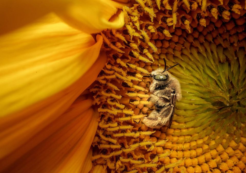 ������ ���������� 2025-�� �� ������ National Geographic