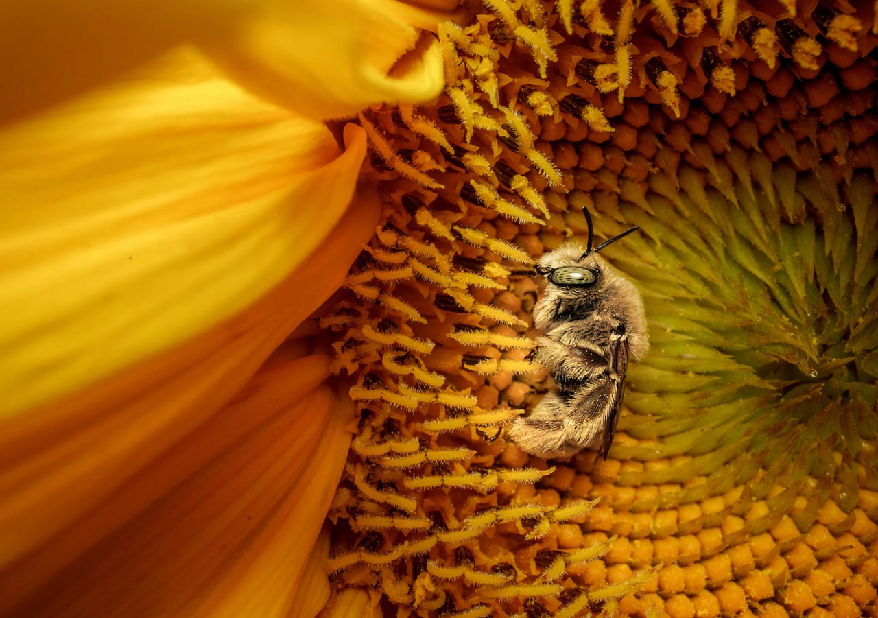 Лучшие фотографии 2025-го по версии National Geographic Лучшие фотографии 2025-го по версии National Geographic