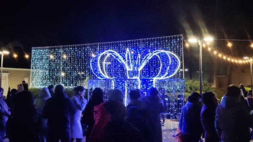 В Тирасполе, Днестровске, Григориополе и Каменке накануне зажглись огни на новогодних ёлках В целом ряде городов Приднестровья стартовали праздничные новогодние мероприятия