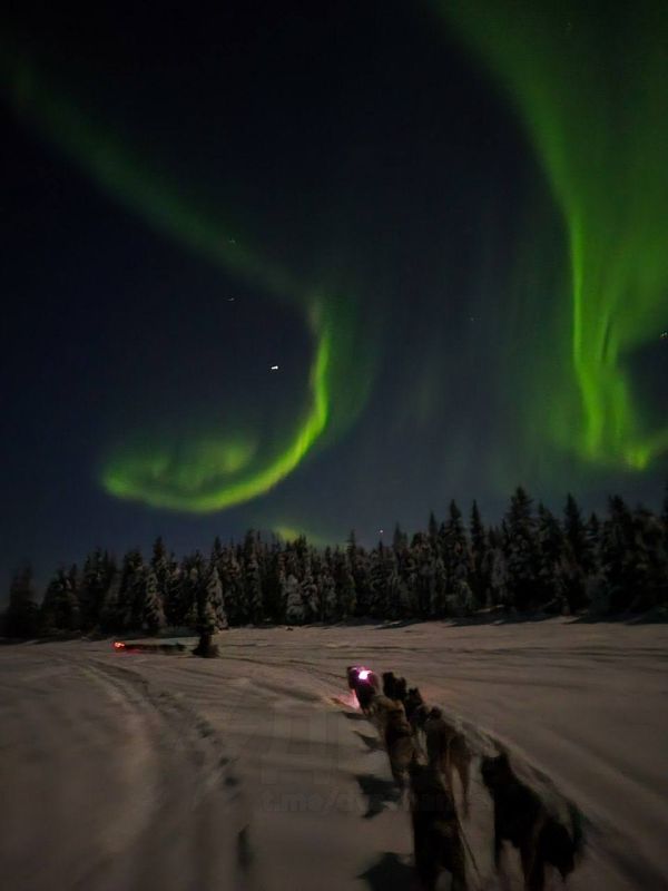 ������ ������ ���� ����� �������� ����� ������ � ������ ������� �� �������� ������� ��� �������� ������� � ������ �����