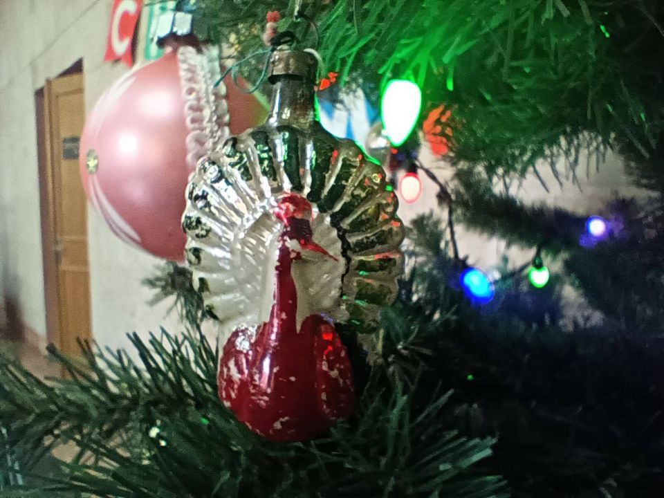 �� ���������� ���������� ����� ����� ������� � �� ������ ������ ���������� �������� ������ ����� � ������ ������ ����������� ��� ������� �������