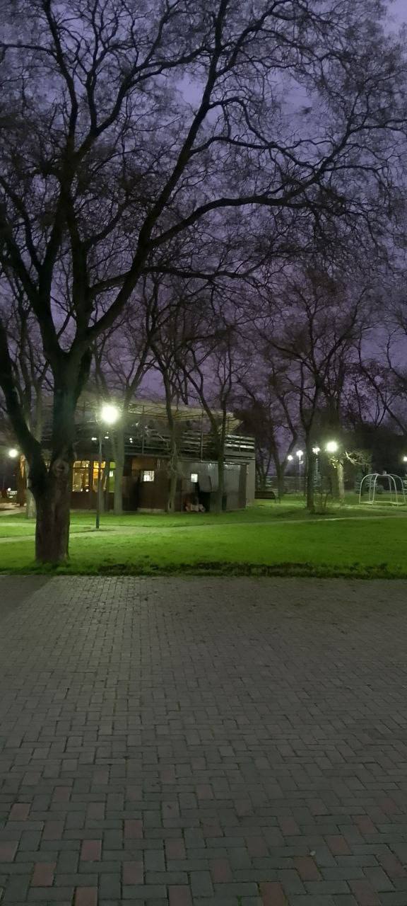 Декабрьский вечер в парке Энергетиков Декабрьский вечер в парке Энергетиков