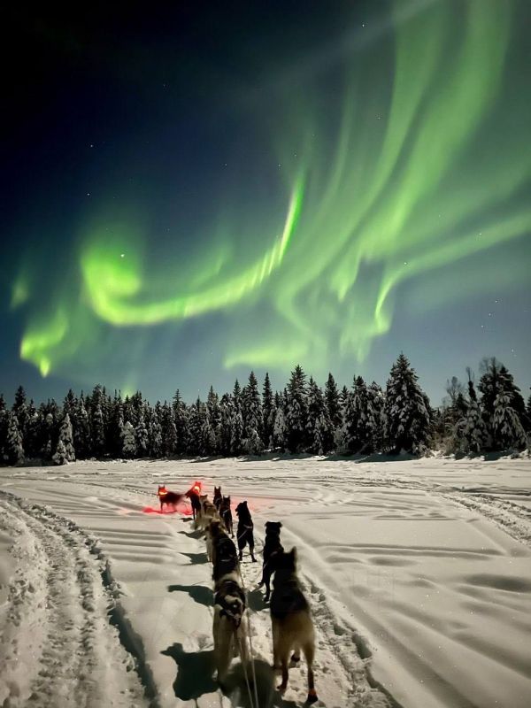 ������ ������ ���� ����� �������� ����� ������ � ������ ������� �� �������� ������� ��� �������� ������� � ������ �����