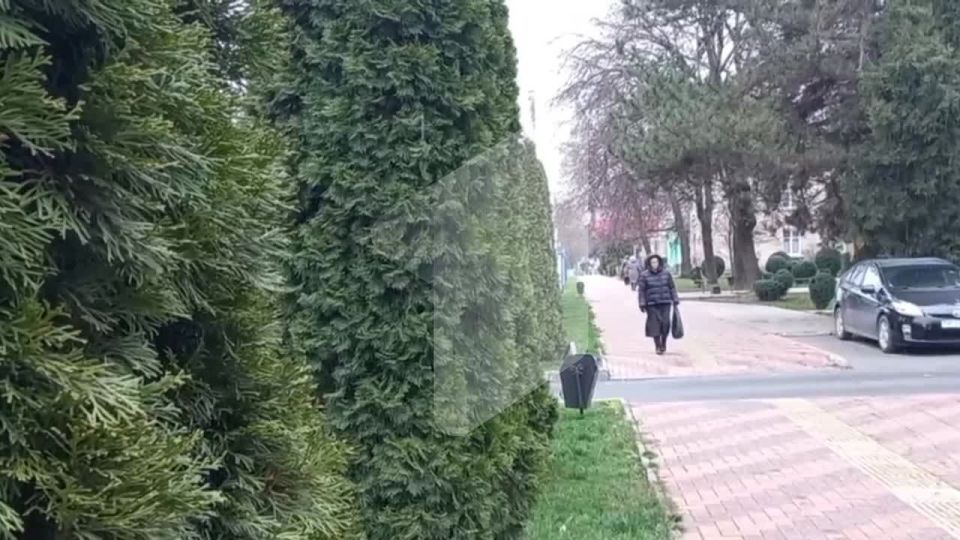 Мокрый снег в Рыбнице. На видео смотрится как дождь, но поверьте это – снежинки