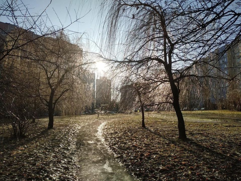 15 декабря. ожидается облачная с прояснениями погода, без осадков