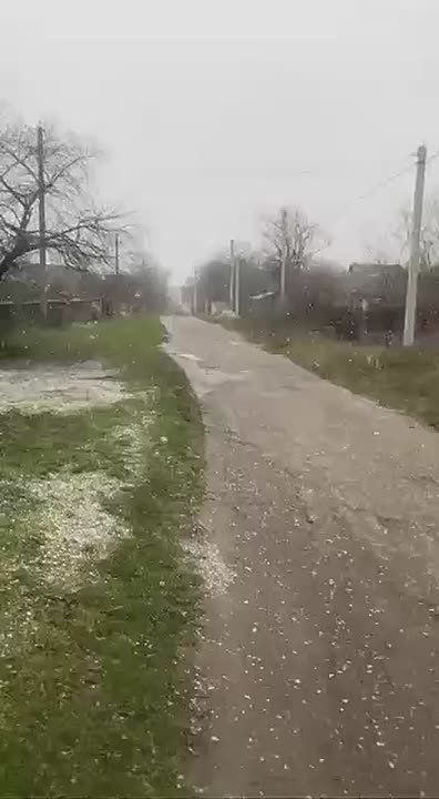 Снег падает на зелёную траву