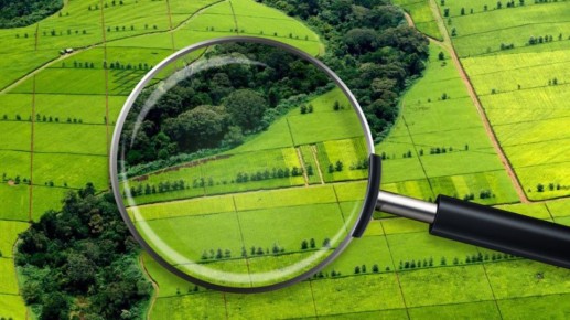 В Приднестровье продолжаются работы по внесению объектов в «Государственный земельный кадастр»