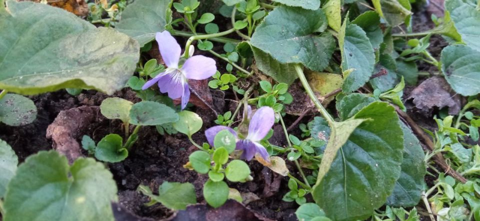 �� ������ ���� � 17 ����. �� ������� � ��������: ���������, ����, ����������, ����, �������, ������