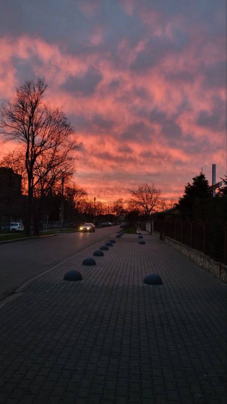 ��� ���� ������������ �������-�������� ������ � ��������������� �������