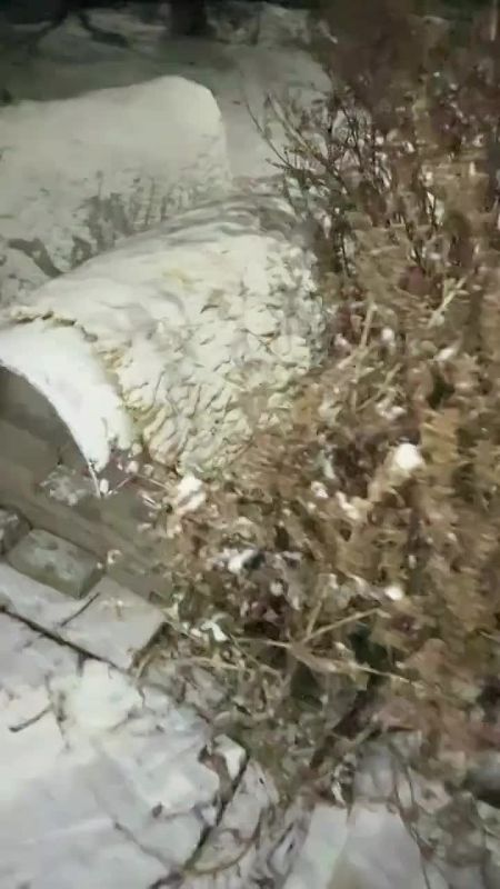В Китае на улицах устанавливают вот такие теплицы, чтобы бездомные кошки перезимовали с комфортом