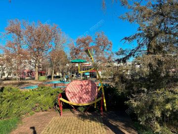 Пропала ёлка. Голубая ель высотой 1 м 15 см исчезла из сквера у фонтана в Днестровске