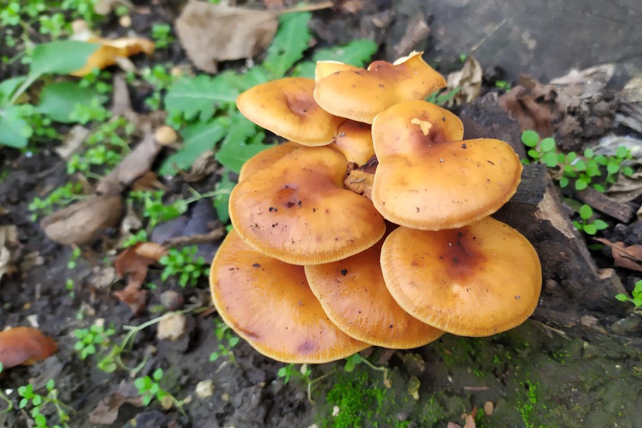 Прогноз погоды на сегодня, 16 октября