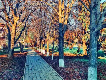 ���������. �������.. ����� ����, �������� ������ � ����� ������� ����