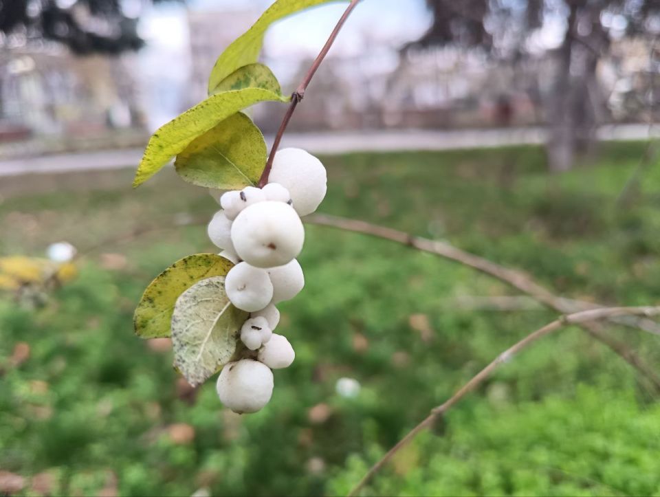 ������ �������� �������: ������ ��������� ��� ����, � ����� �� ���