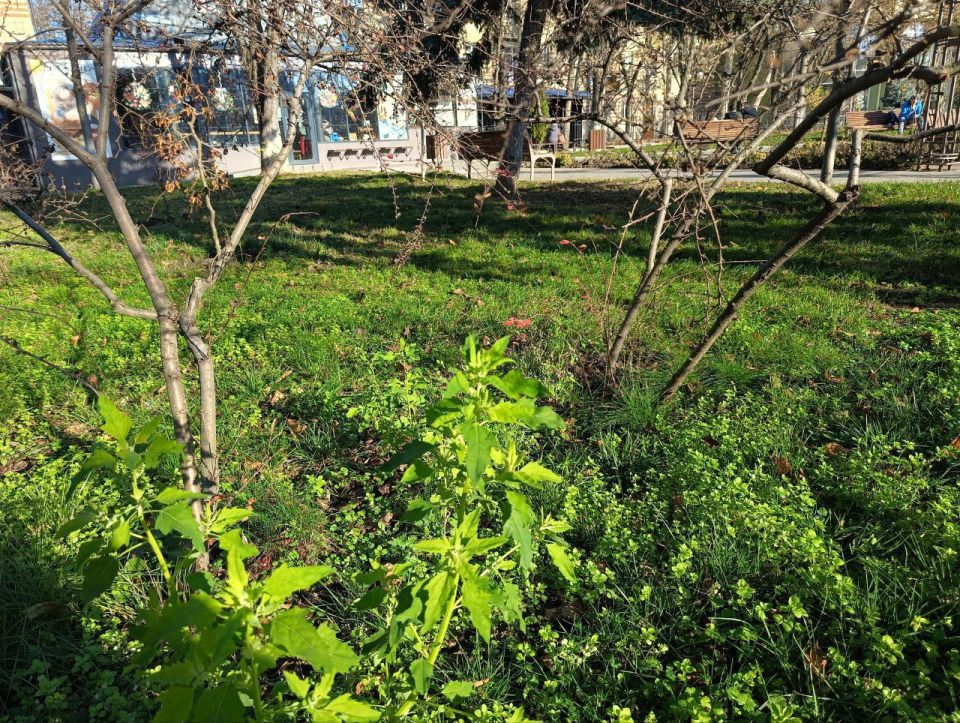 ������ �������� �������: ������ ��������� ��� ����, � ����� �� ���