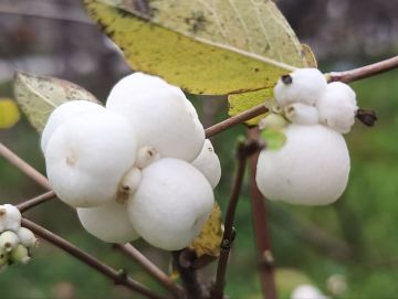 ���� �� ����� � ���� �������� ����� ��� ����