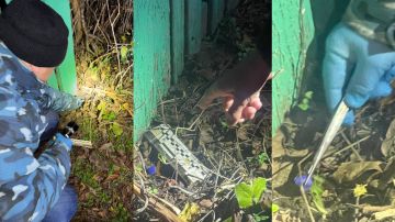 ������ � ����������� ����� ����������� ������ �����-��������������� �������