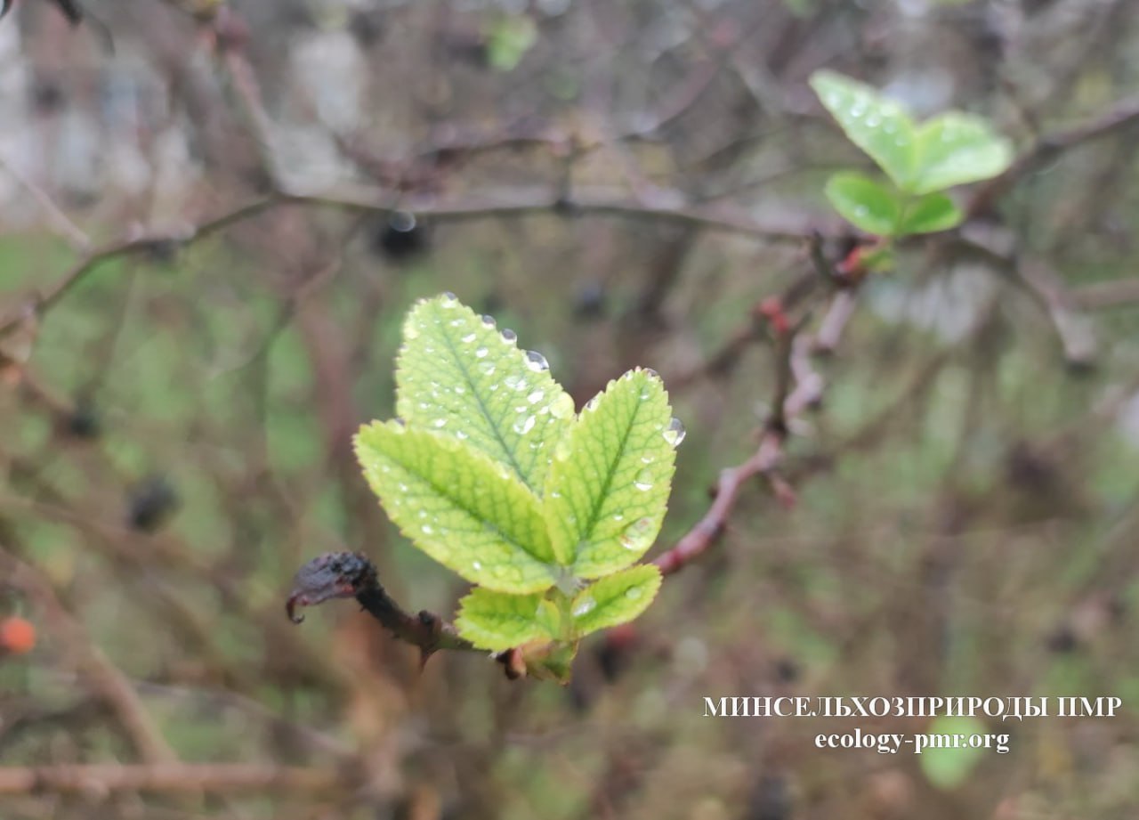 Доброго утра!. Прогноз погоды на сегодня, 18 декабря
